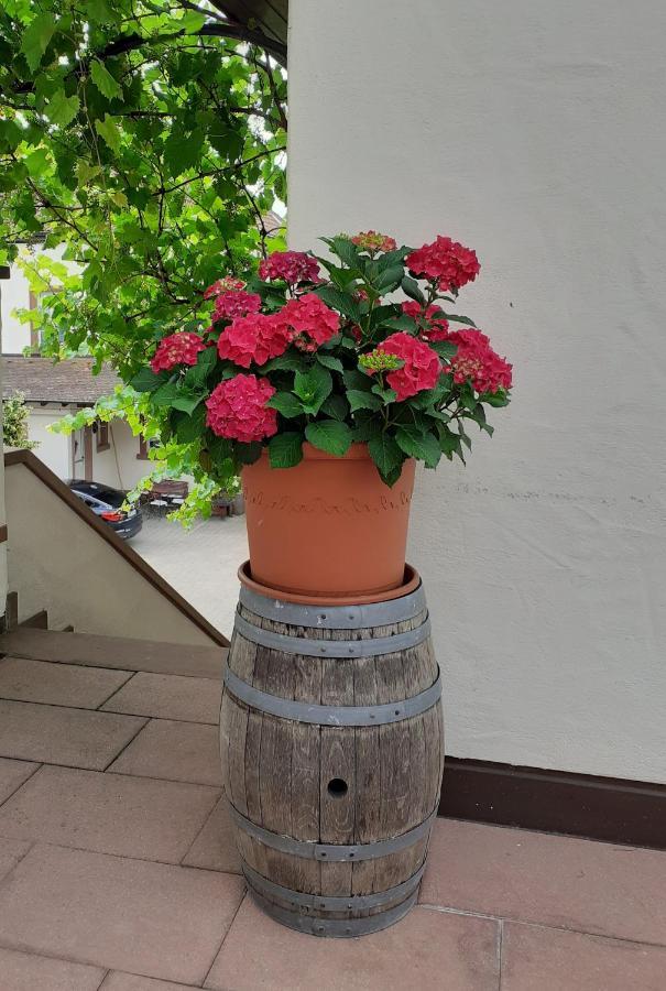 Das Landhotel Weingut Gernert Sankt Martin Eksteriør billede